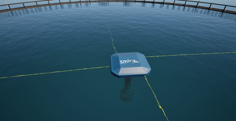Smir lanza una nueva herramienta para prevenir el piojo del salmón