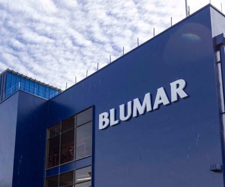 17% en el EBITDA de Blumar en el primer semestre de 2025  