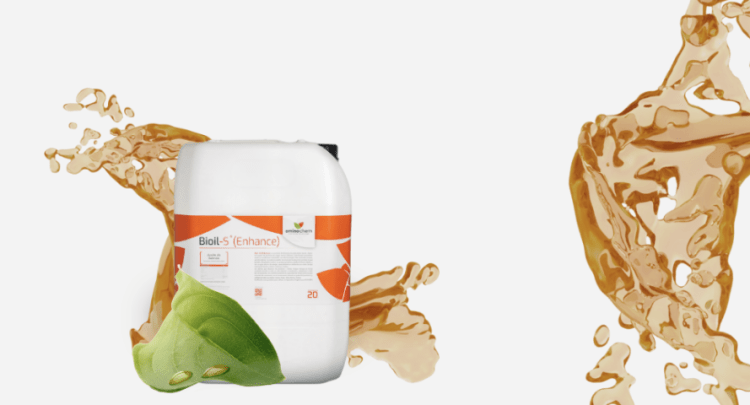 Aminochem: Bioinnovación chilena desde la salmonicultura