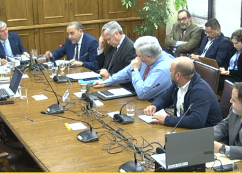 Sindicato de Mowi expone alerta en el Senado por efectos del SBAP