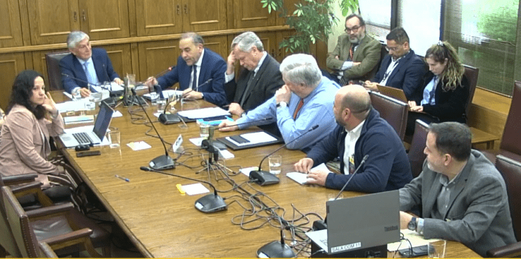 Sindicato de Mowi expone alerta en el Senado por efectos del SBAP