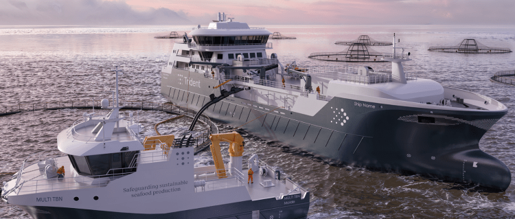 Trident refuerza su flota con dos nuevos buques híbridos