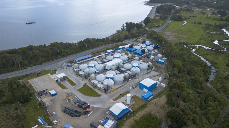 Open House 2025: Invermar anuncia primera producción de salmón coho en RAS enfocada en la acuicultura de precisión