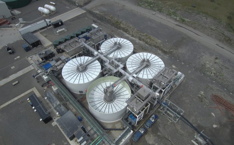Australis Seafoods revoluciona su planta Dumestre con tecnología de nanoburbujas de Moleaer