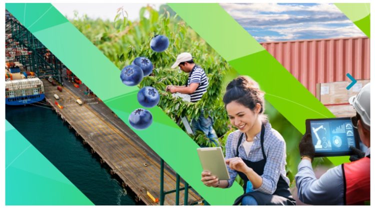 ENEXPRO “Diversifica tu Mercado” reunirá a compradores de 27 mercados internacionales estratégicos