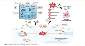 Pathovet y MNL Group desarrollan Salmon Biology Series 2025 sobre estrés oxidativo y su impacto productivo