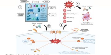 Pathovet y MNL Group desarrollan Salmon Biology Series 2025 sobre estrés oxidativo y su impacto productivo