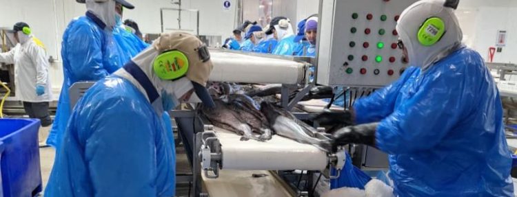 Sernapesca refuerza fiscalización en plantas de exportación