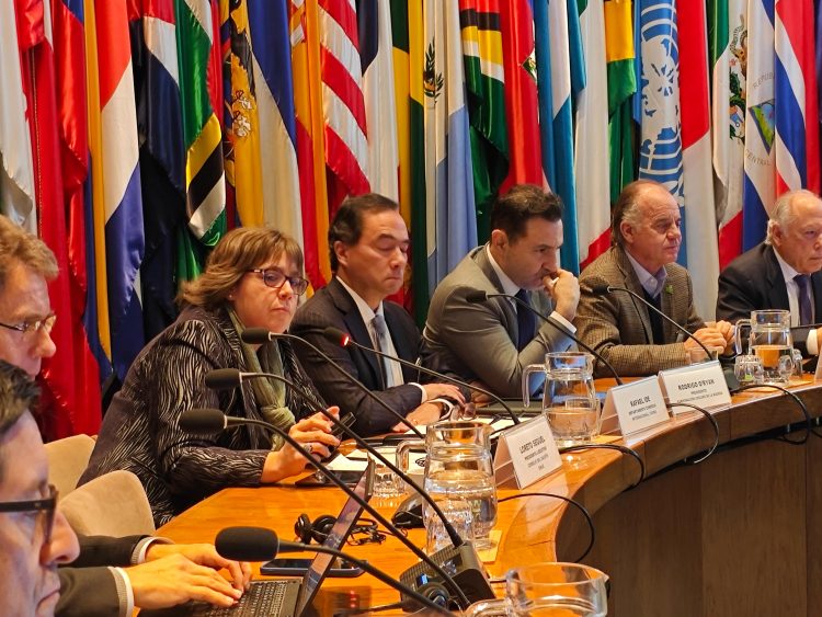 Loreto Seguel, presidenta ejecutiva del Consejo del Salmón presente en reunión de la CEPAL. Créditos: Consejo del Salmón.