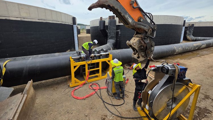 Normex entra al mercado surcoreano con gran acuerdo acuícola