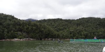 Cooke se pronuncia ante resolución de la SMA