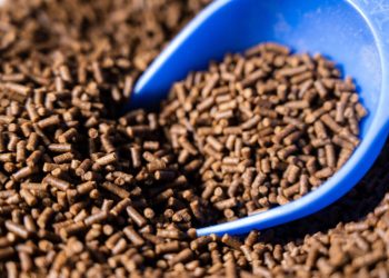 Vitapro impulsa la sostenibilidad acuícola