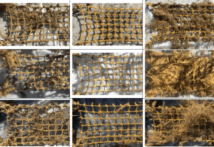 Cobre en antifouling: evidencia científica frente al mito de la toxicidad