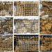 Cobre en antifouling: evidencia científica frente al mito de la toxicidad