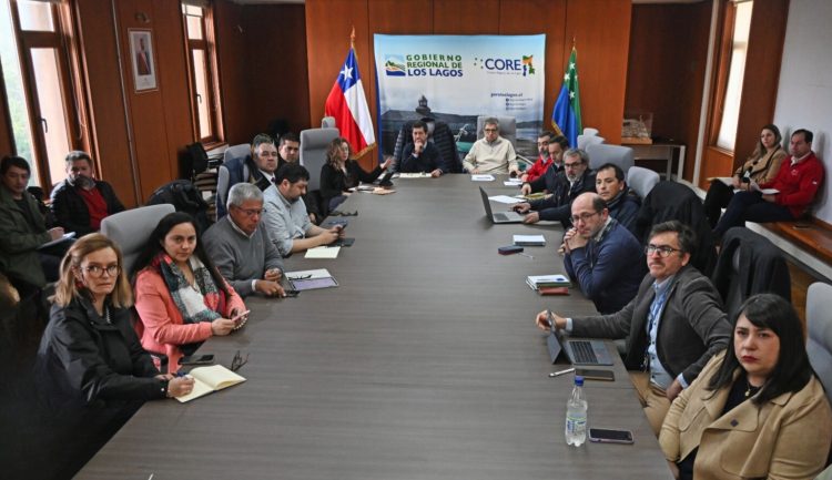 Industria y Estado se unen por el futuro exportador de Los Lagos