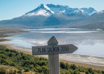 Plan Salmón 2050: El sur toma la palabra