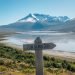 Plan Salmón 2050: El sur toma la palabra