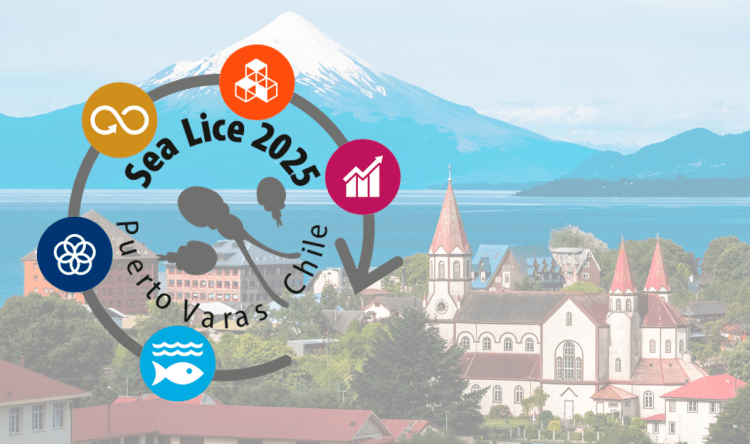 Extienden plazo para postular al Sea Lice Conference 2025 en Puerto Varas