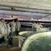 Productor terrestre se declara en bancarrota