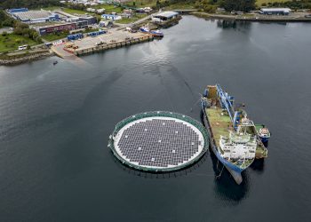 Alotta sella contrato de 15 años con Mowi Chile para energía solar flotante