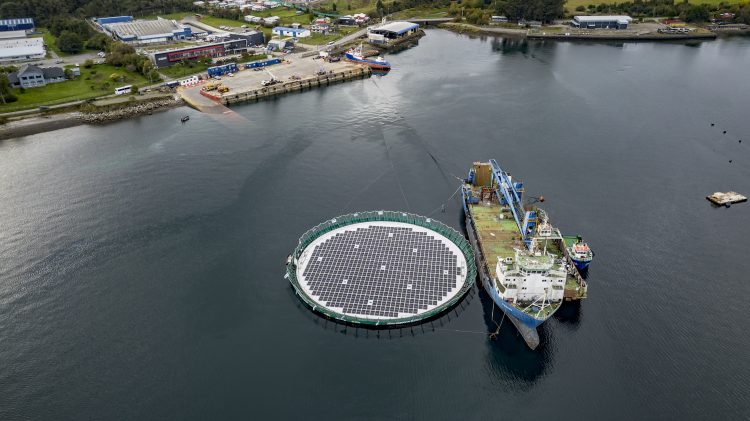 Alotta sella contrato de 15 años con Mowi Chile para energía solar flotante