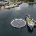 Alotta sella contrato de 15 años con Mowi Chile para energía solar flotante