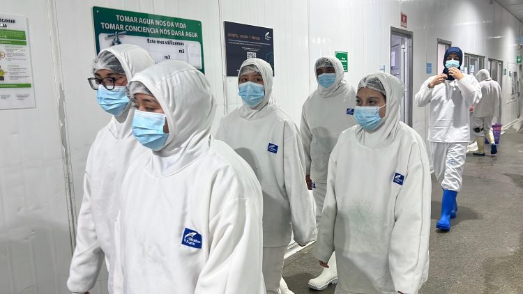 Estudiantes del Liceo Polivalente de Queilen conocen procesos productivos en planta de Marine Farm