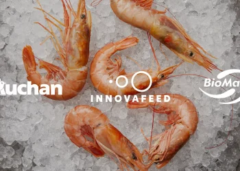 BioMar, Innovafeed y Auchan apuestan por harinas de insectos