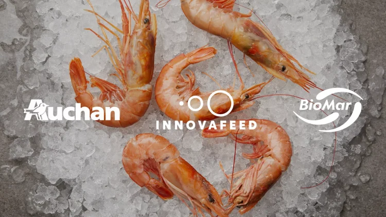 BioMar, Innovafeed y Auchan apuestan por harinas de insectos