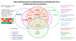 Un semáforo para regular la producción de salmones a escala de ecosistemas utilizando una evaluación de riesgo bajo el enfoque de “Una Salud”.