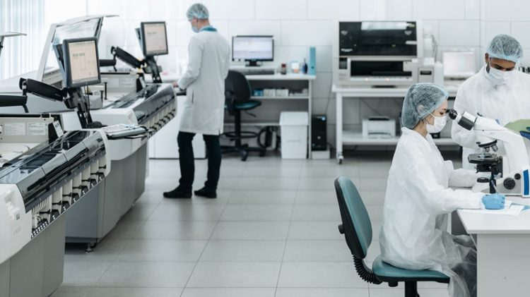 Investigación analiza el rol de Vibrio splendidus en llagas de verano en el salmón
