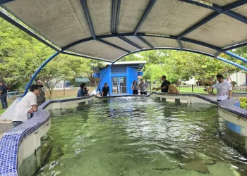 UCN asesorará proyecto desarrollo de dietas para peces y el cultivo de bivalvos en Costa Rica