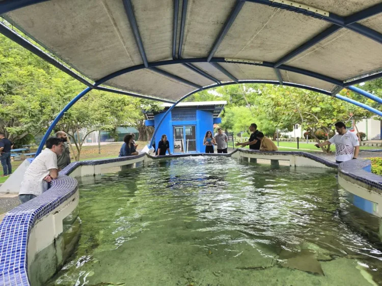 UCN asesorará proyecto desarrollo de dietas para peces y el cultivo de bivalvos en Costa Rica