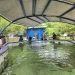 Proyecto en Costa Rica. Foto: UCN