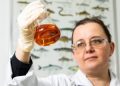 IFFO: La producción mundial de harina y aceite de pescado va por buen camino