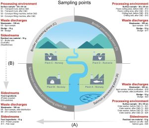 Salmones y resistencia antimicrobiana: lo que revelan los desechos de la industria