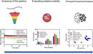 Los residuos del pescado se vuelven aliados: gelatina marina mejora la microencapsulación del aceite de salmón