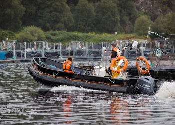 DEMANDA COLECTIVA SALMONEROS NORUEGA