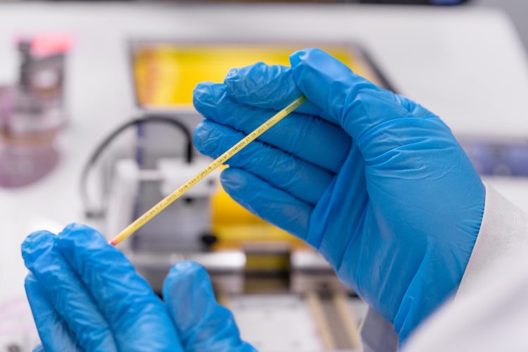 Benchmark Genetics genética y LACQUA