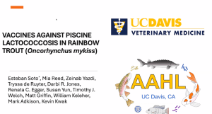 Dr. Esteban Soto (U. California-Davis) presentó estrategias de vacunas contra la lactococosis en peces