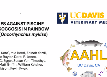 Dr. Esteban Soto (U. California-Davis) presentó estrategias de vacunas contra la lactococosis en peces