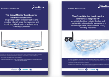 Nofima presenta nueva guía “CrowdMonitor” para evaluar el bienestar del salmón durante operaciones de crowding