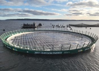 Trusal y Alotta Energy sellan acuerdo de 15 años para incorporar energía solar flotante en salmonicultura