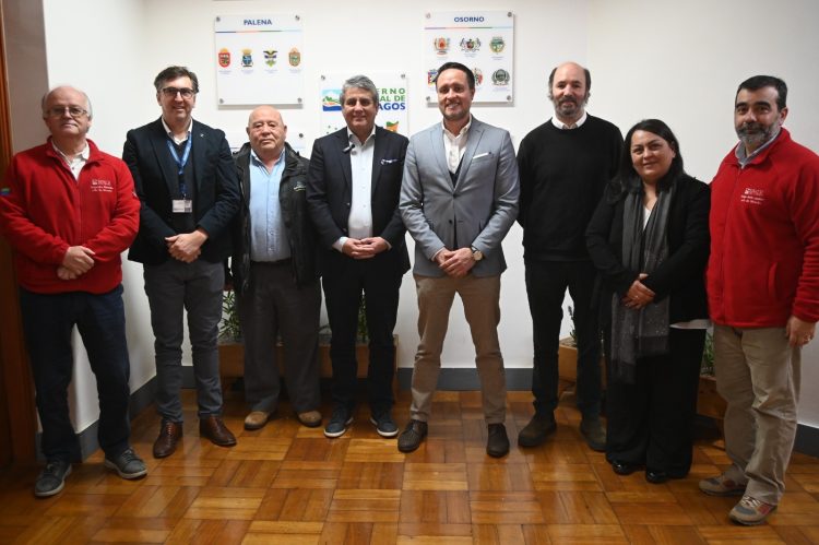 Puerto Montt avanza hacia una certificación de origen en exportaciones de salmón
