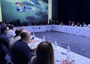 Consejo del salmón y plan salmón 2050