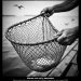 concurso fotográfico 50 años salmonicultura