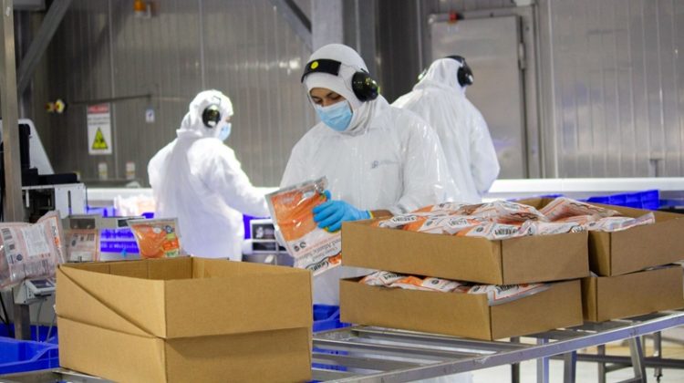 Salmones Camanchaca certificada Zero Waste en tres instalaciones estratégicas