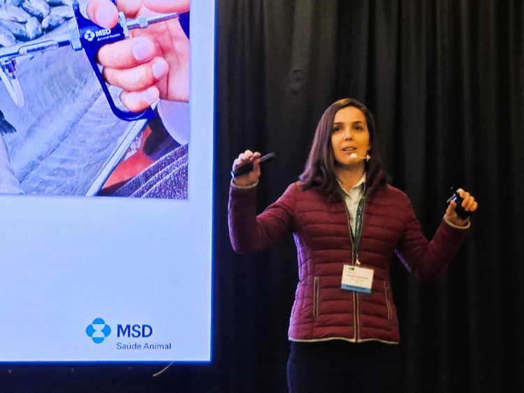 MSD Salud Animal