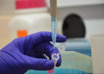 LICE VAX2: la Vacuna oral para salmones que busca revolucionar el control de la caligidosis