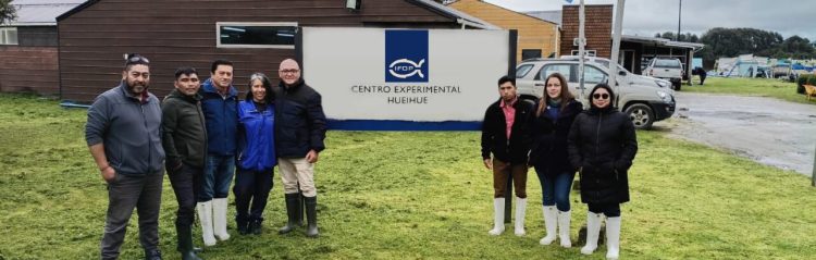Delegación de Guatemala se capacita en cultivo de salmónidos en Chile